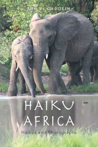 Haiku Africa Haikus and Photographs