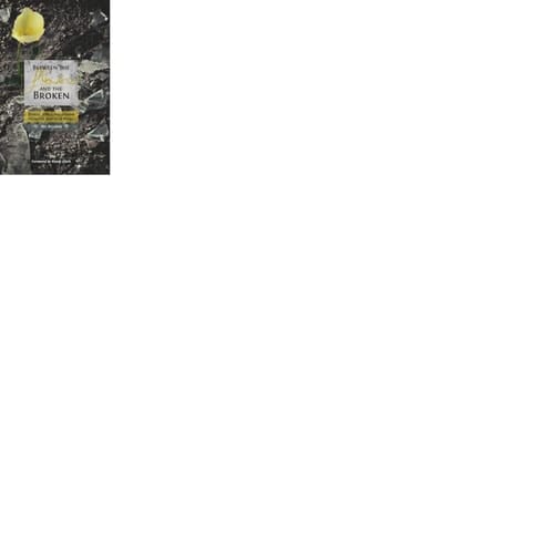 Between the Flowers and the Broken Stories, Songs and Lessons from the Streets of Brazil