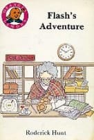 Flash's Adventure