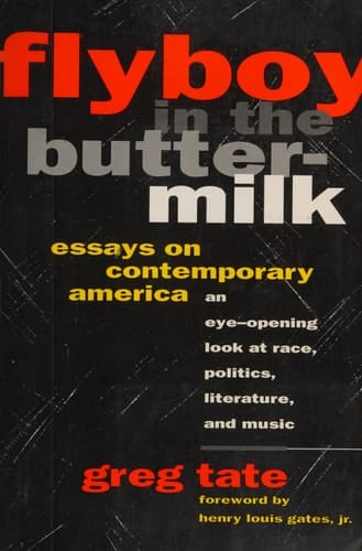 Flyboy in the Buttermilk: Essays on Contemporary America