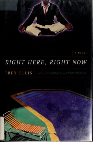 Right Here, Right Now: A Novel