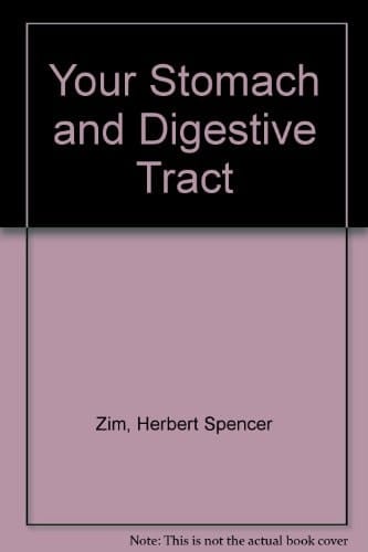 Your Stomach and Digestive Tract
