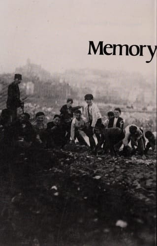 Memory and Enthusiasm Essays, 1975-1985