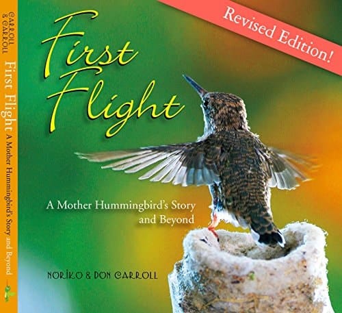 First Flight A Mother Hummingbird's Story and Beyond