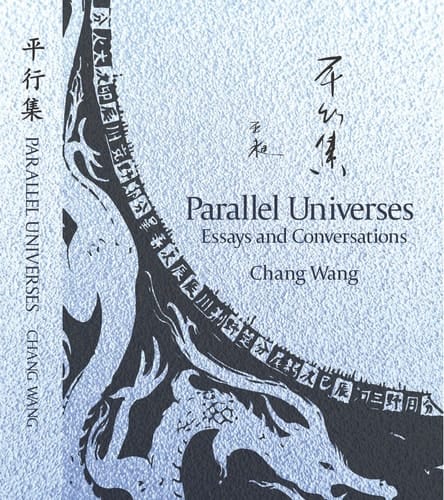 Parallel Universes Essays and Conversations