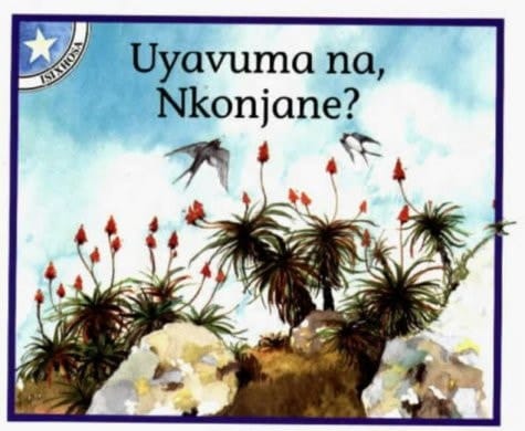 Uyavuma Na, Nkonjane?