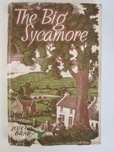 Big Sycamore