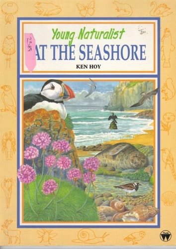 Young Naturalist at the Seashore