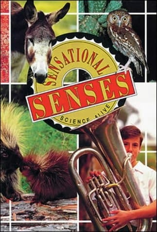 Sensations