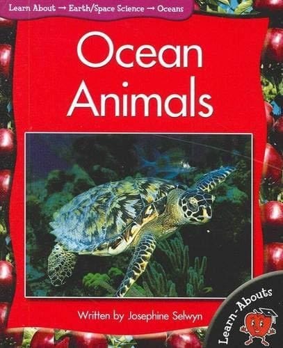 Ocean Animals