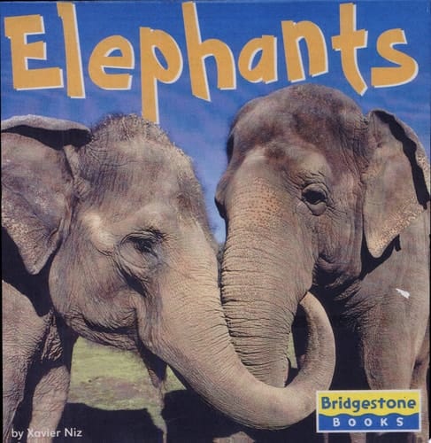 Elephants