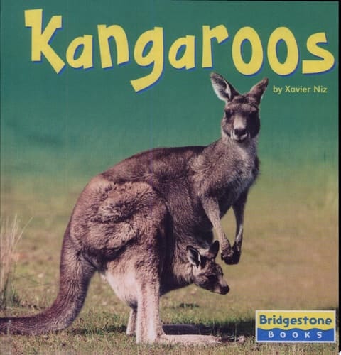 Kangaroos