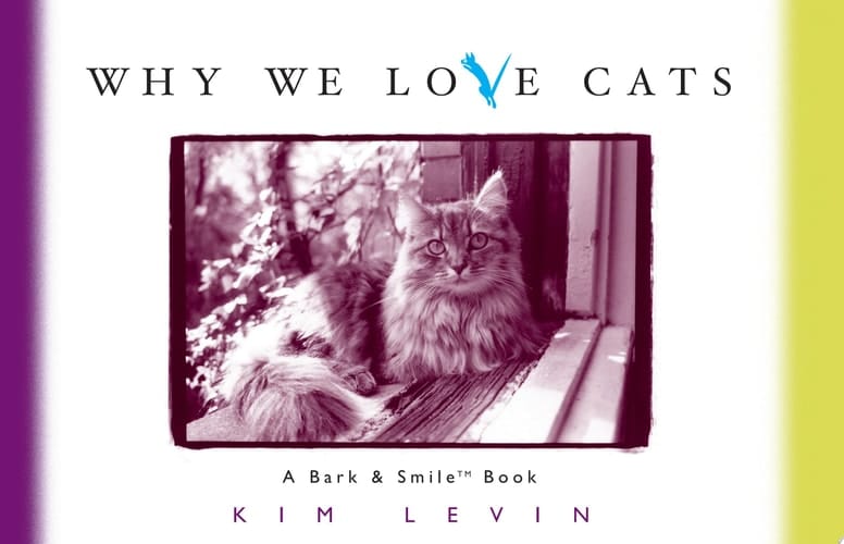 Why We Love Cats