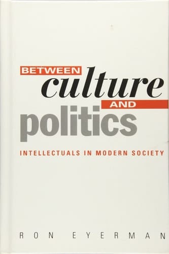 Between Culture and Politics Intellectuals in Modern Society