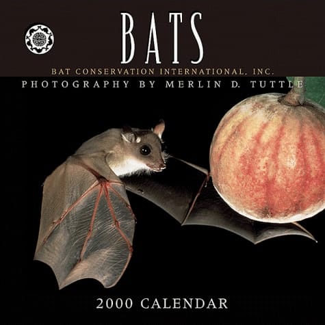 Bats 2000 Calendar