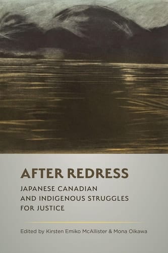 After Redress Japanese Canadian and Indigenous Struggles for Justice