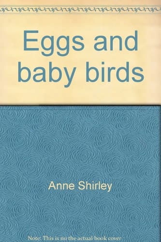Eggs and Baby Birds