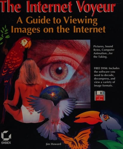 The Internet Voyeur