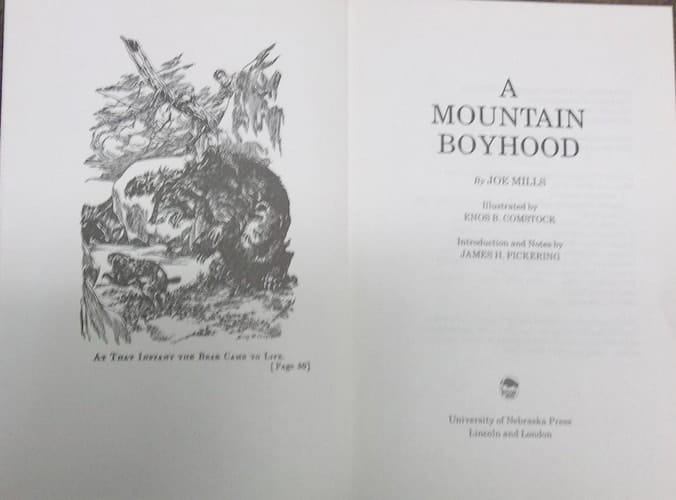 A Mountain Boyhood