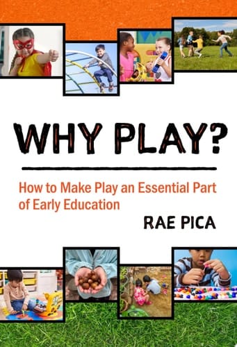 Why Play? How to Make Play an Essential Part of Early Education