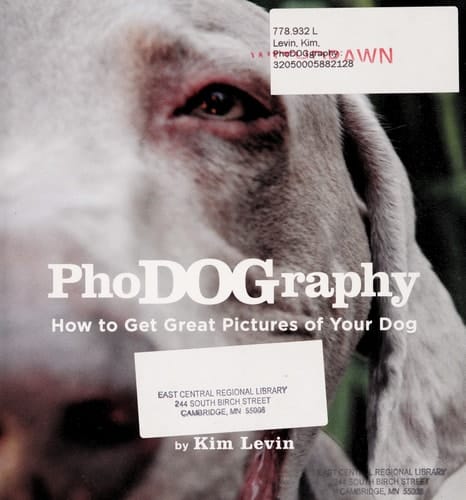 PhoDOGraphy How to Get Great Pictures of Your Dog