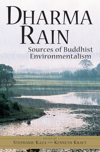 Dharma Rain