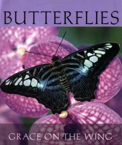 Butterflies Grace on the Wing