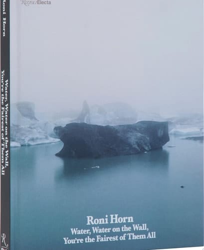 Roni Horn Water Water On the Wall, You’re the Fairest of Them All