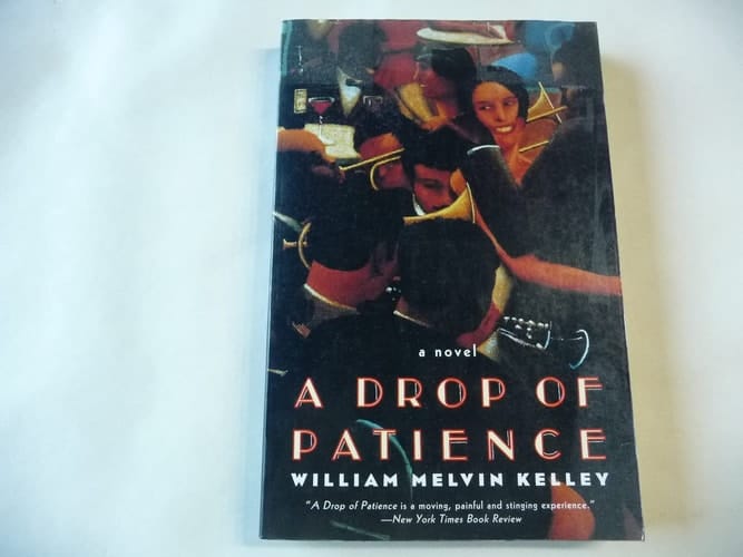 A Drop of Patience: A Novel (Dark Tower Series)