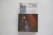 The White Lotus