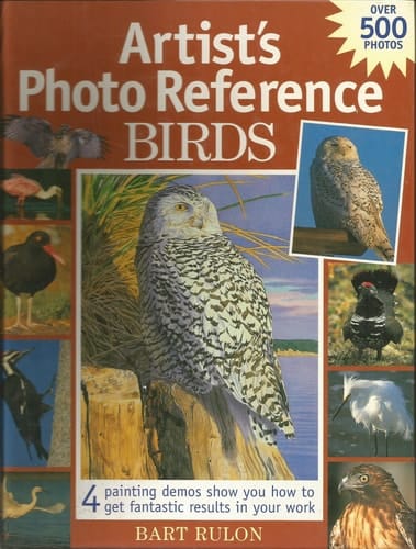 Artist's Photo Reference - Birds