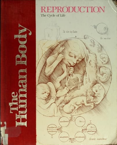 Reproduction: The cycle of life (The Human body)