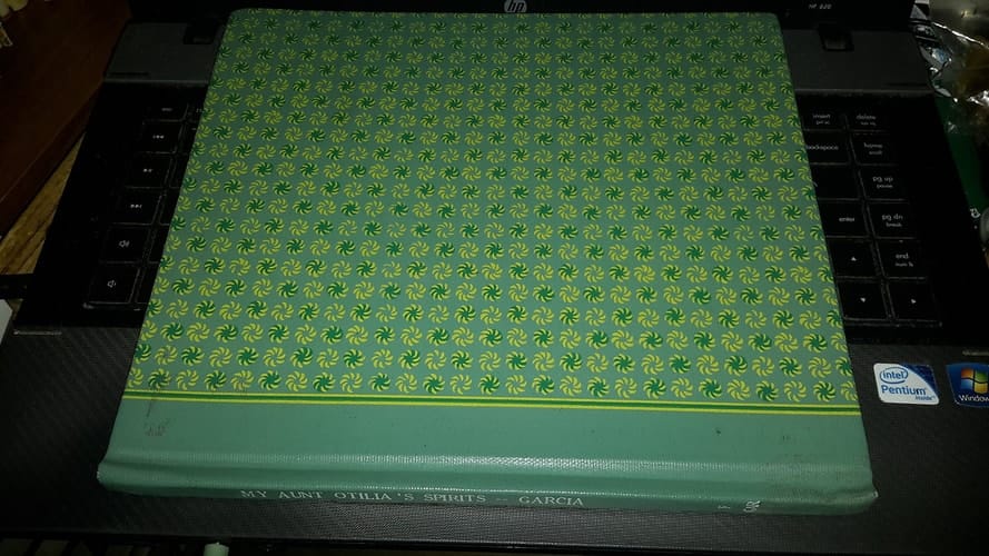 My Aunt Otilia's Spirits = Los espíritus de mi tía Otilia (Fifth World Tales)