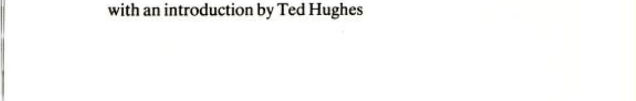 Modern Poetry in Translation 1983
