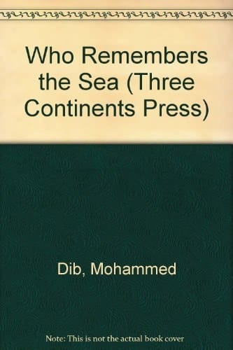 Who Remembers the Sea: A Novel