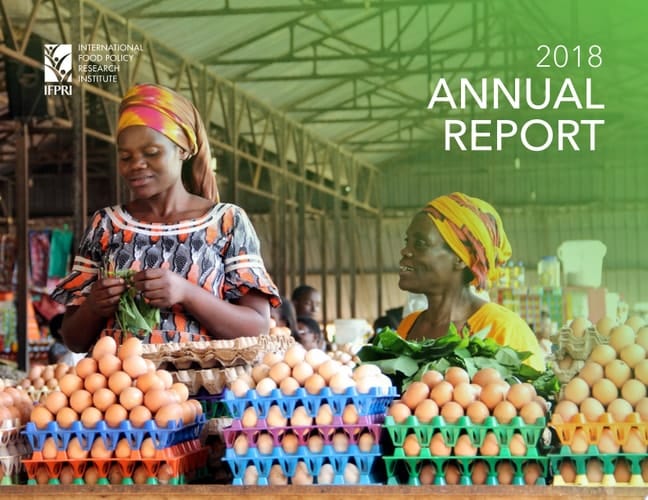 2018 IFPRI Annual Report