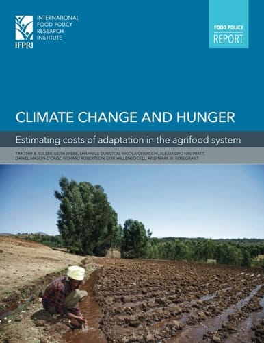 Climate Change and Hunger Estimating Costs of Adaptation in the Agrifood System