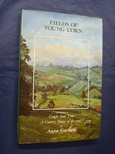 Fields of Young Corn