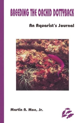 Breeding the Orchid Dottyback, Pseudochromis Fridmani An Aquarist's Journal