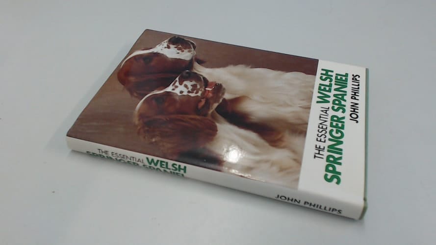 The Essential Welsh Springer Spaniel