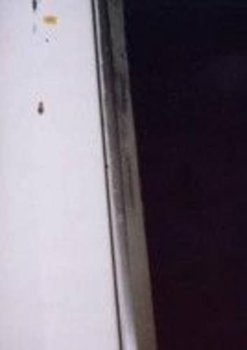 Cockroach Diary 1996-1999