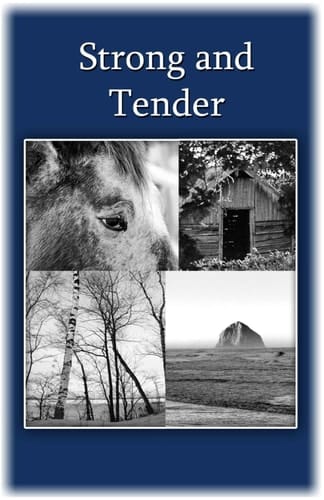 Strong and Tender A Guide for the Father Whose Baby Has Died