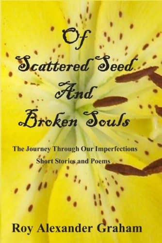 Of Scattered Seed and Broken Souls The Journey Through Our Imperfections