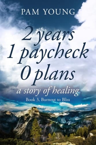 2 years 1 paycheck 0 plans: a story of healing