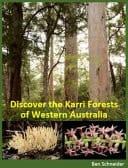 Discover the Karri Forests of Western Australia