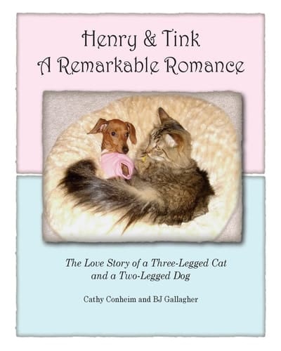 Henry and Tink A Remarkable Romance