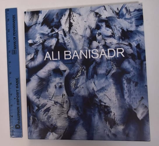 Ali Banisadr Trust in the Future
