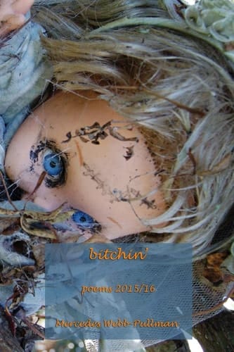 Bitchin' Poems 2015/2016