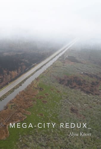 Mega-city Redux