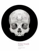 Perfect Vessels David Orr, Mütter Museum 2016-2017